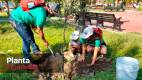 09-carrusel_USG_FOTOS